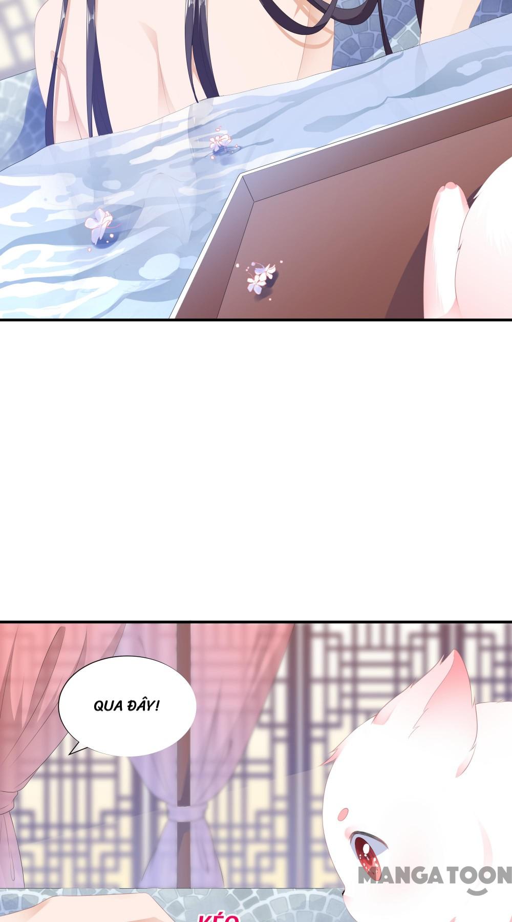 Hồ Phi Chớ Dây Vào Lửa Chapter 8 - Trang 12