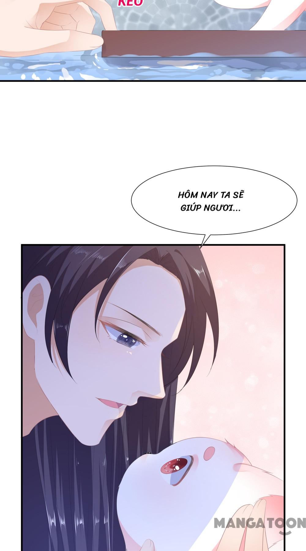 Hồ Phi Chớ Dây Vào Lửa Chapter 8 - Trang 13