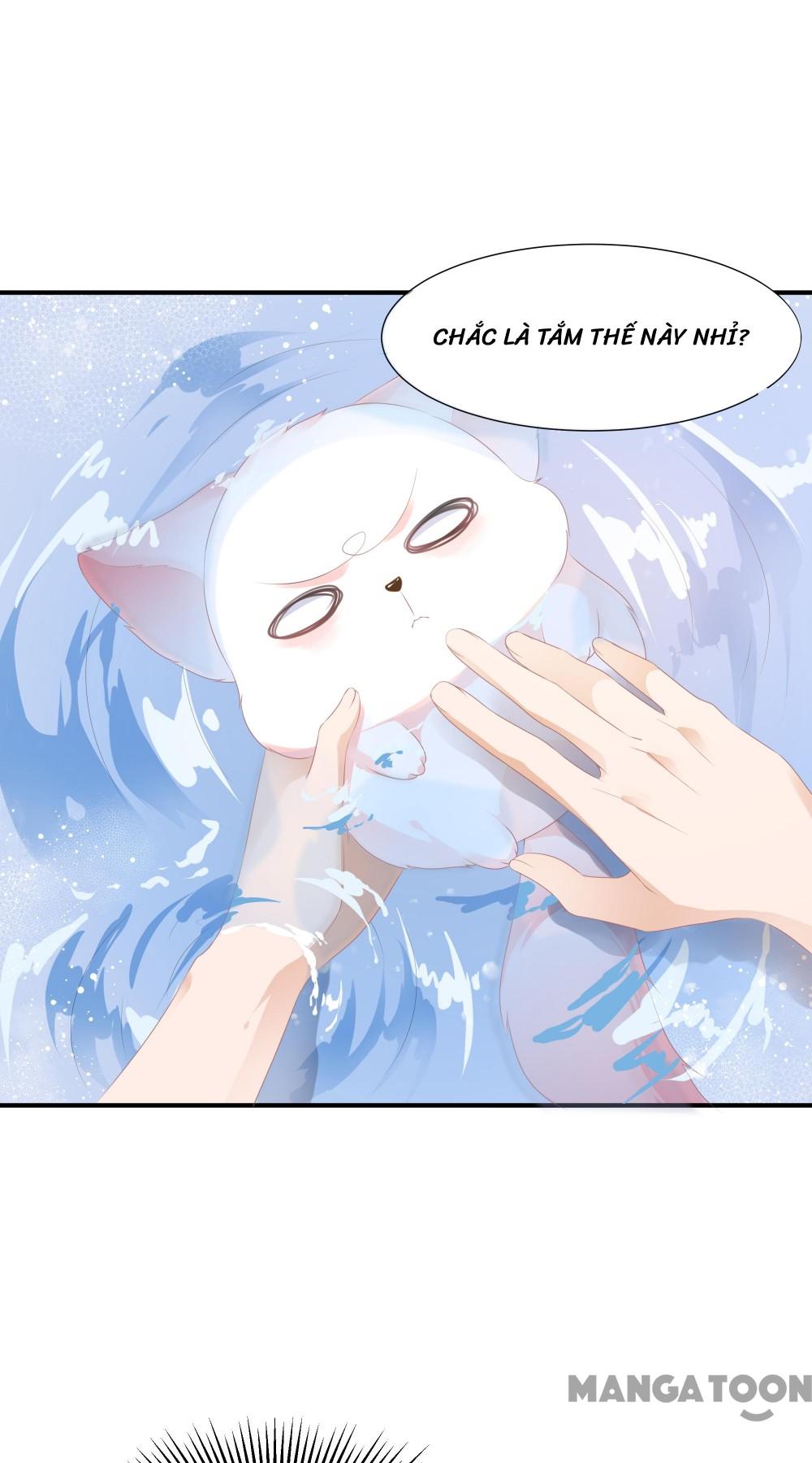 Hồ Phi Chớ Dây Vào Lửa Chapter 8 - Trang 16