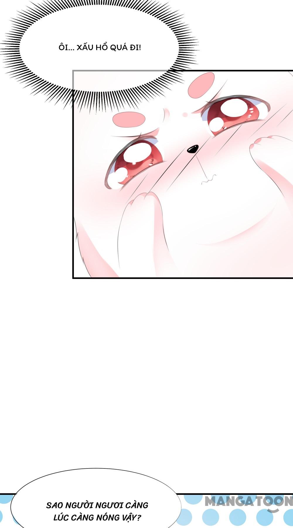 Hồ Phi Chớ Dây Vào Lửa Chapter 8 - Trang 17