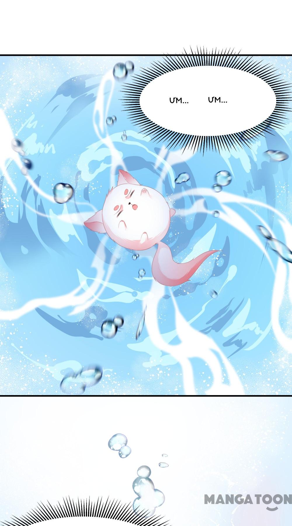 Hồ Phi Chớ Dây Vào Lửa Chapter 8 - Trang 2