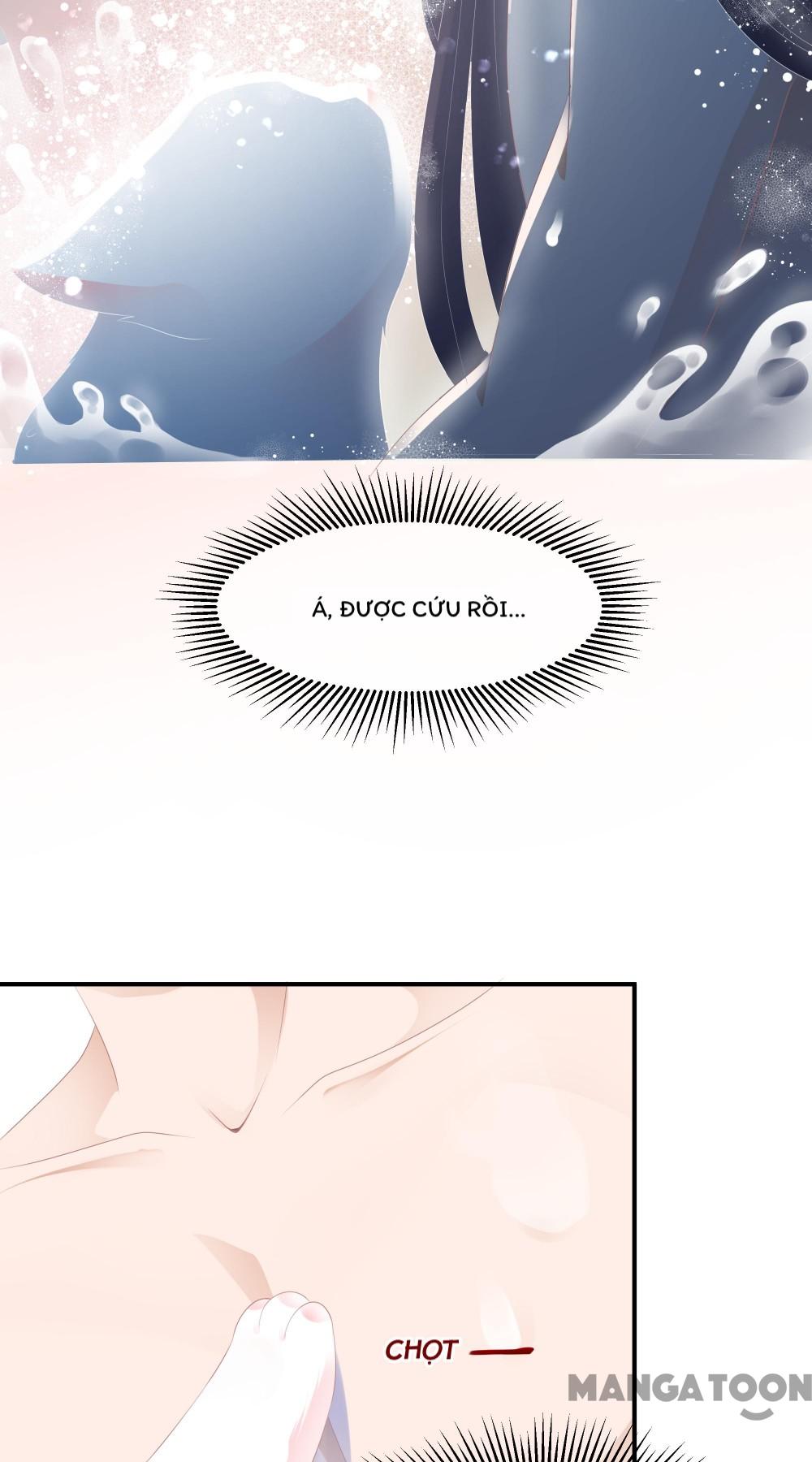 Hồ Phi Chớ Dây Vào Lửa Chapter 8 - Trang 6