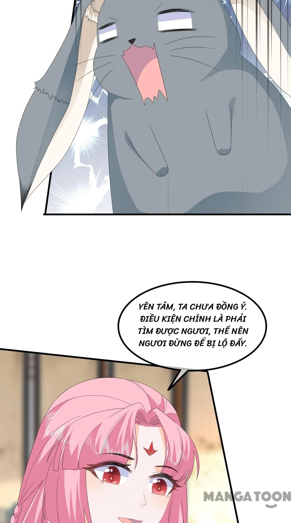 Hồ Phi Chớ Dây Vào Lửa Chapter 82 - Trang 11