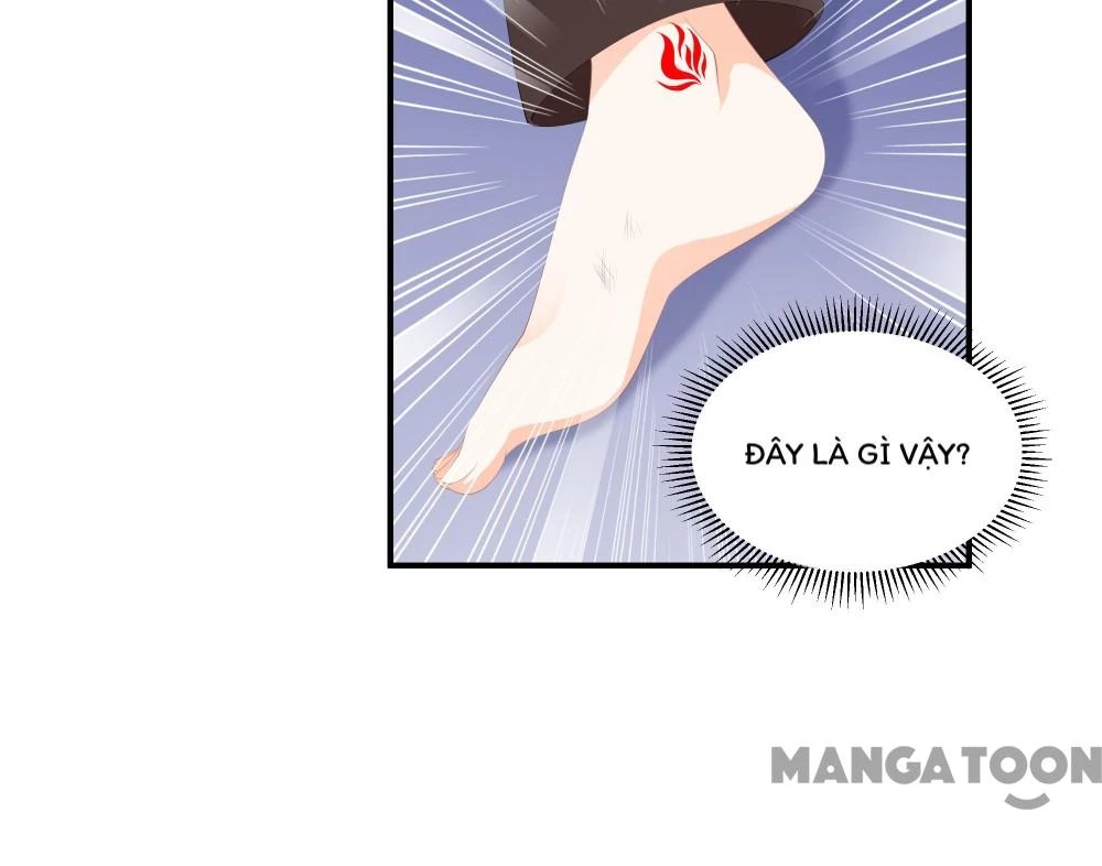 Hồ Phi Chớ Dây Vào Lửa Chapter 89 - Trang 9