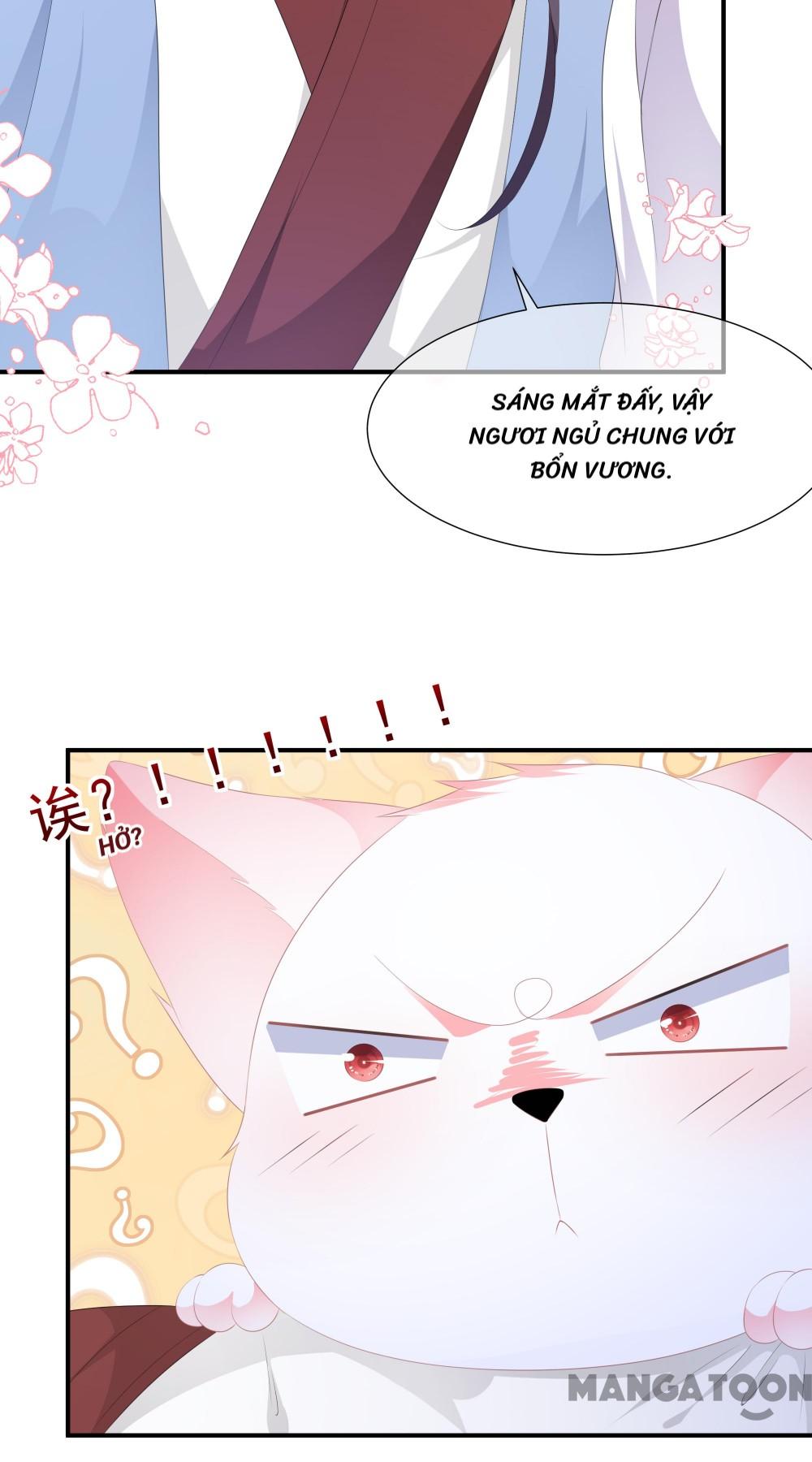 Hồ Phi Chớ Dây Vào Lửa Chapter 9 - Trang 20