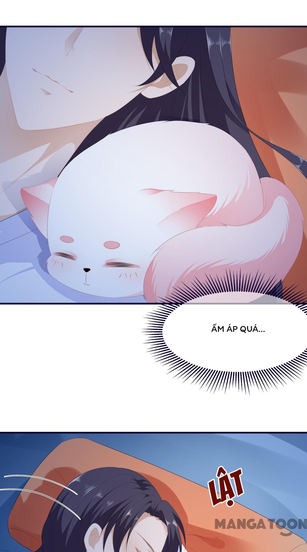 Hồ Phi Chớ Dây Vào Lửa Chapter 9 - Trang 24