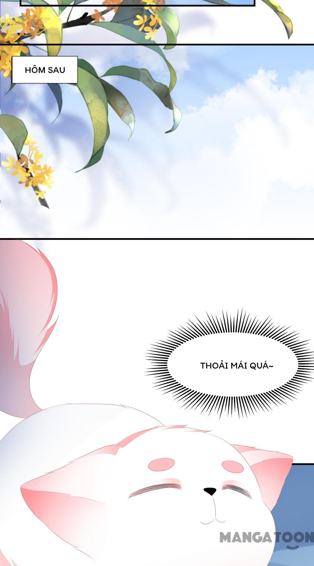 Hồ Phi Chớ Dây Vào Lửa Chapter 9 - Trang 26