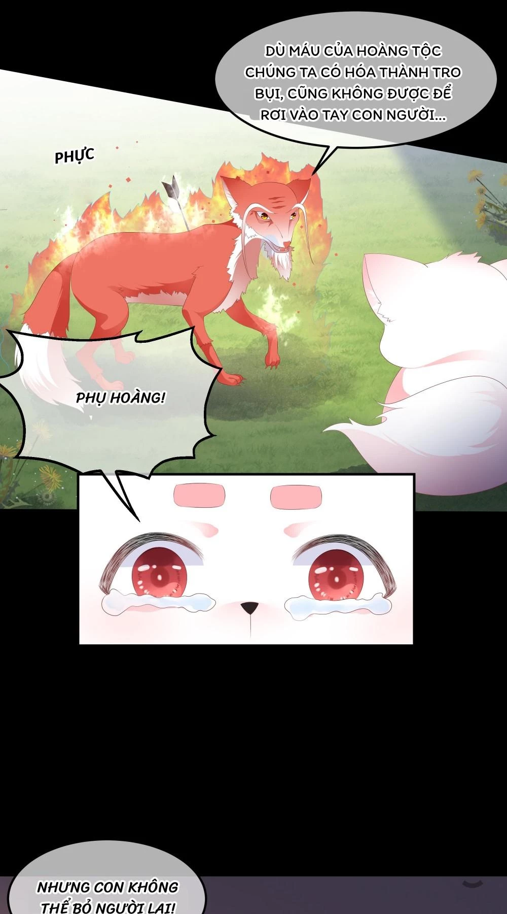 Hồ Phi Chớ Dây Vào Lửa Chapter 90 - Trang 14