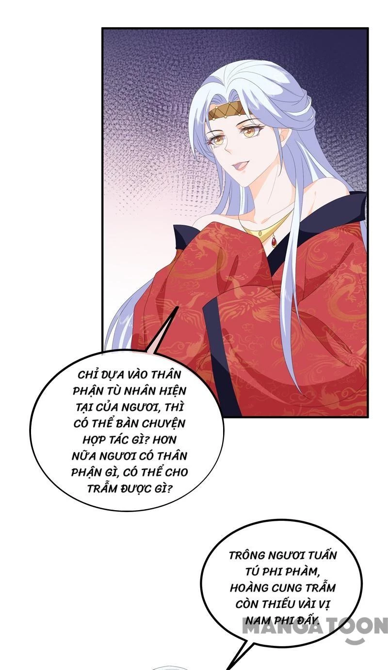 Hồ Phi Chớ Dây Vào Lửa Chapter 93 - Trang 11