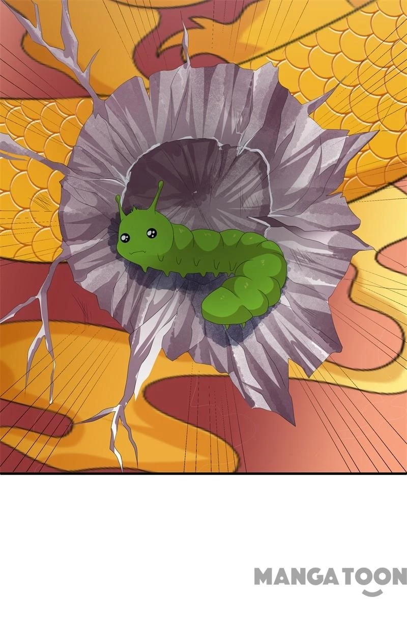 Hồ Phi Chớ Dây Vào Lửa Chapter 93 - Trang 16