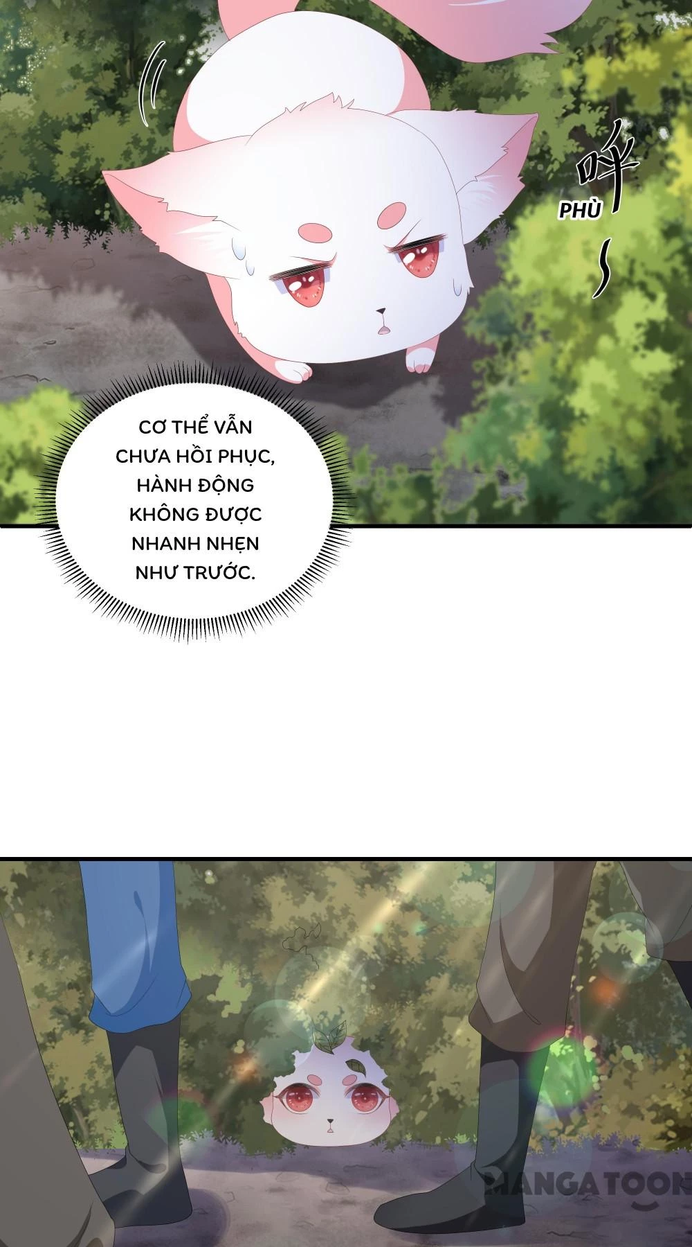 Hồ Phi Chớ Dây Vào Lửa Chapter 96 - Trang 13