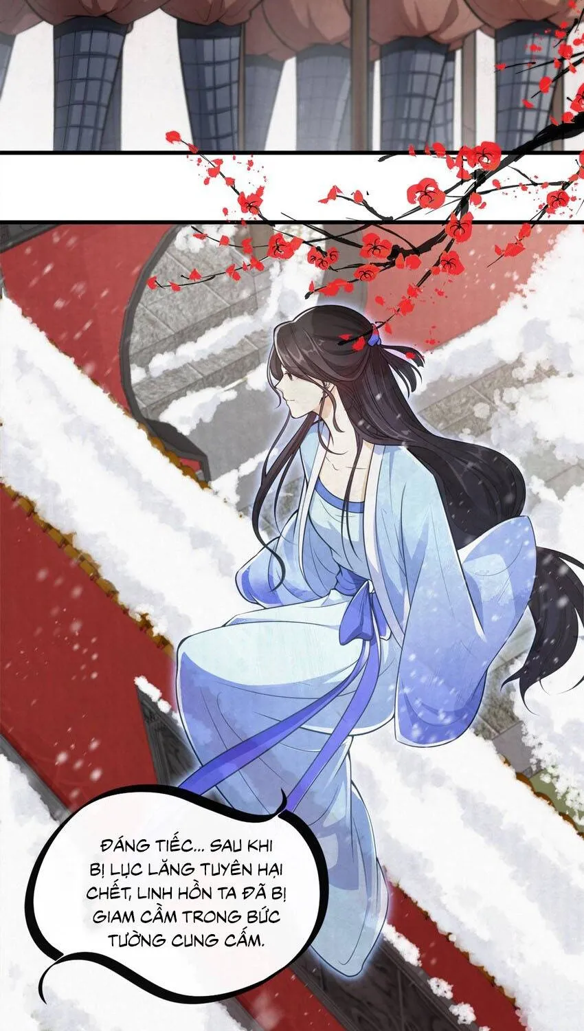 Hoa Đào Chiếu Án Ngọc Chapter 1 - Trang 5