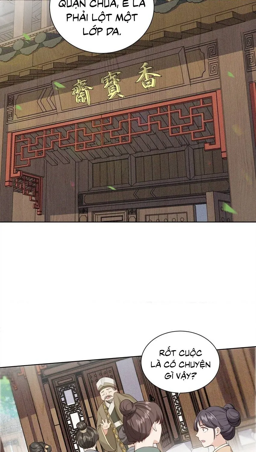 Hoa Đào Chiếu Án Ngọc Chapter 17 - Trang 5
