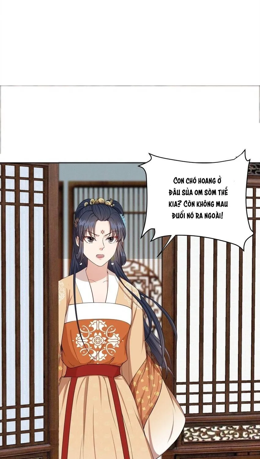Hoa Đào Chiếu Án Ngọc Chapter 21 - Trang 19