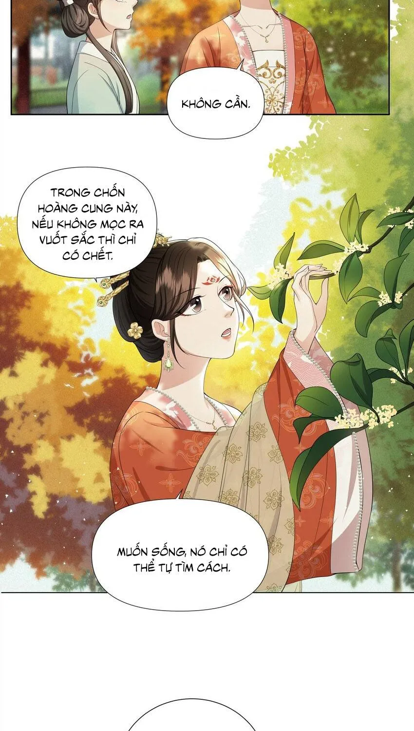 Hoa Đào Chiếu Án Ngọc Chapter 27 - Trang 5