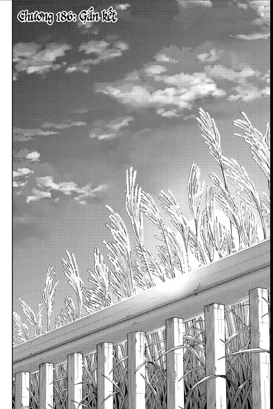 Hoa Thơm Kiêu Hãnh Chapter 186 - Trang 5