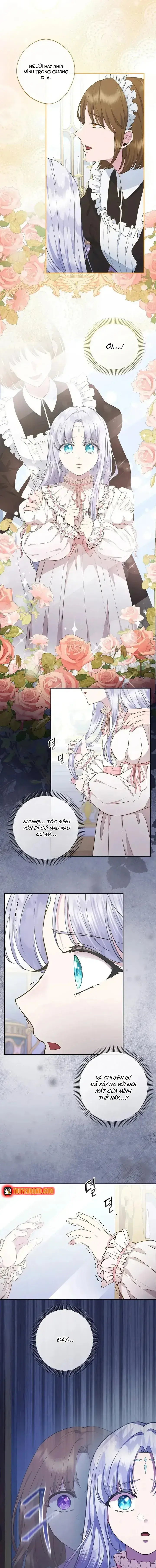 Hoa Tím Nở Nơi Vũng Lầy Chapter 5 - Trang 10