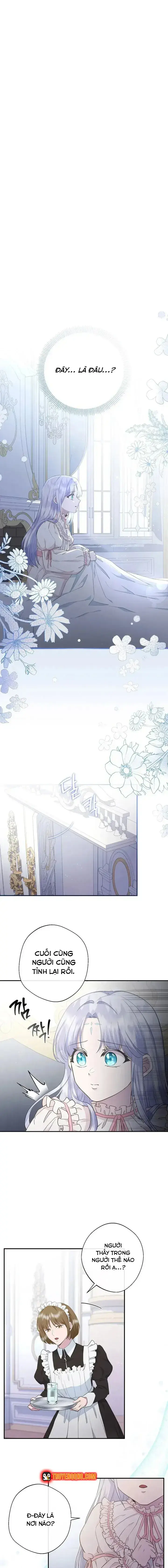 Hoa Tím Nở Nơi Vũng Lầy Chapter 5 - Trang 5