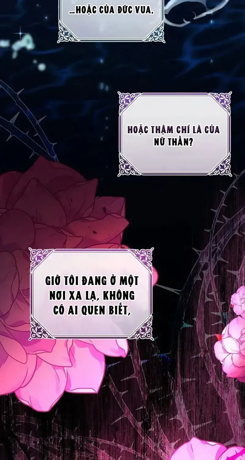 Hoa Tím Nở Nơi Vũng Lầy Chapter 8 - Trang 40