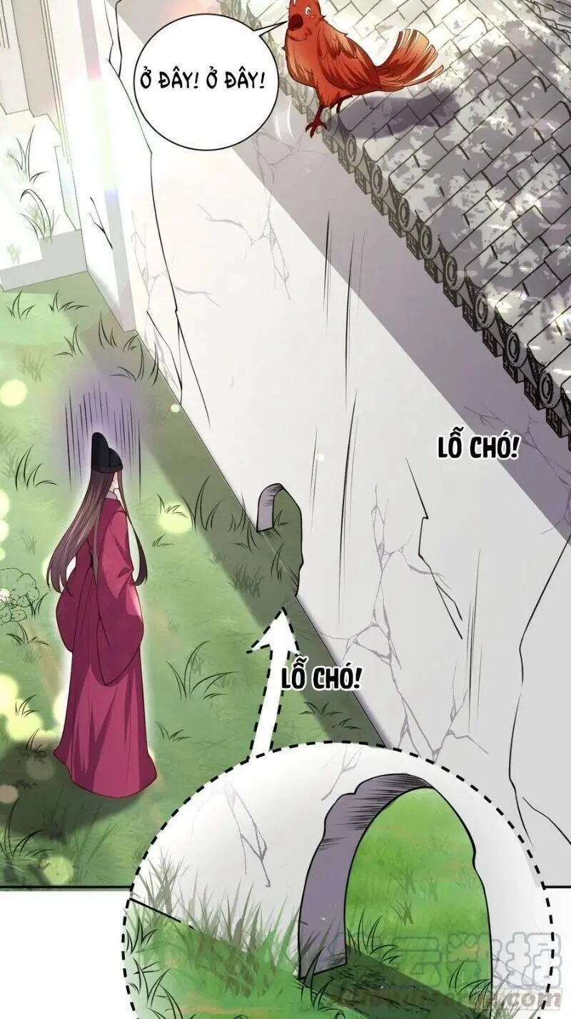 Hoạn Phi Thiên Hạ Chapter 127 - Trang 26