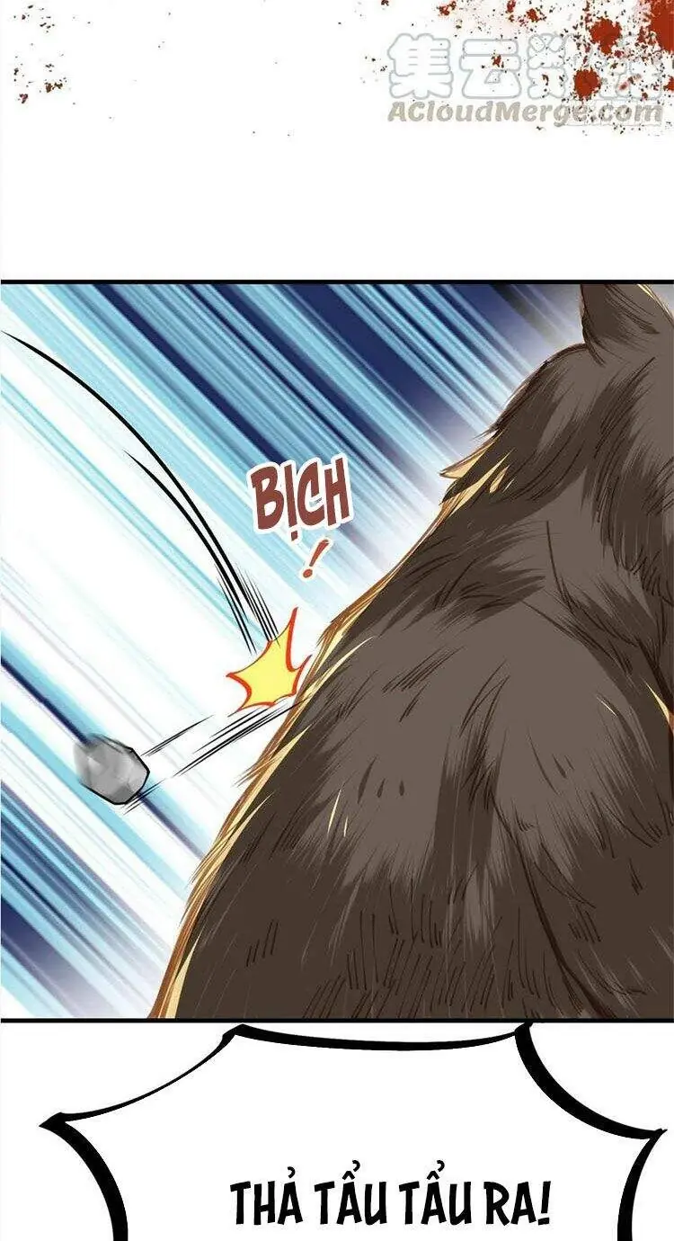 Hoạn Phi Thiên Hạ Chapter 151 - Trang 11