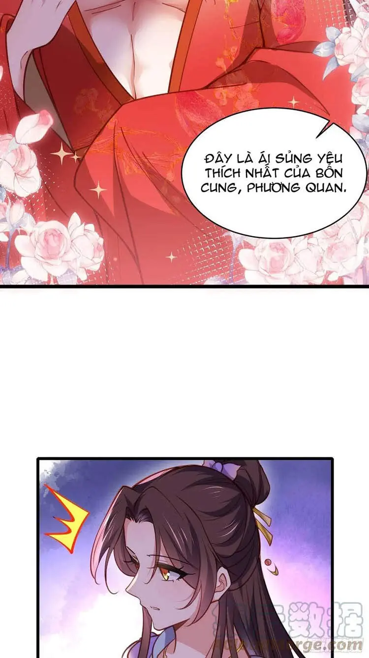 Hoạn Phi Thiên Hạ Chapter 169 - Trang 26