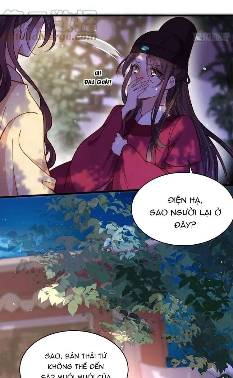 Hoạn Phi Thiên Hạ Chapter 170 - Trang 12