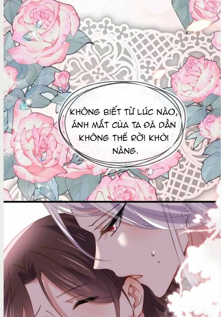 Hoạn Phi Thiên Hạ Chapter 179 - Trang 21
