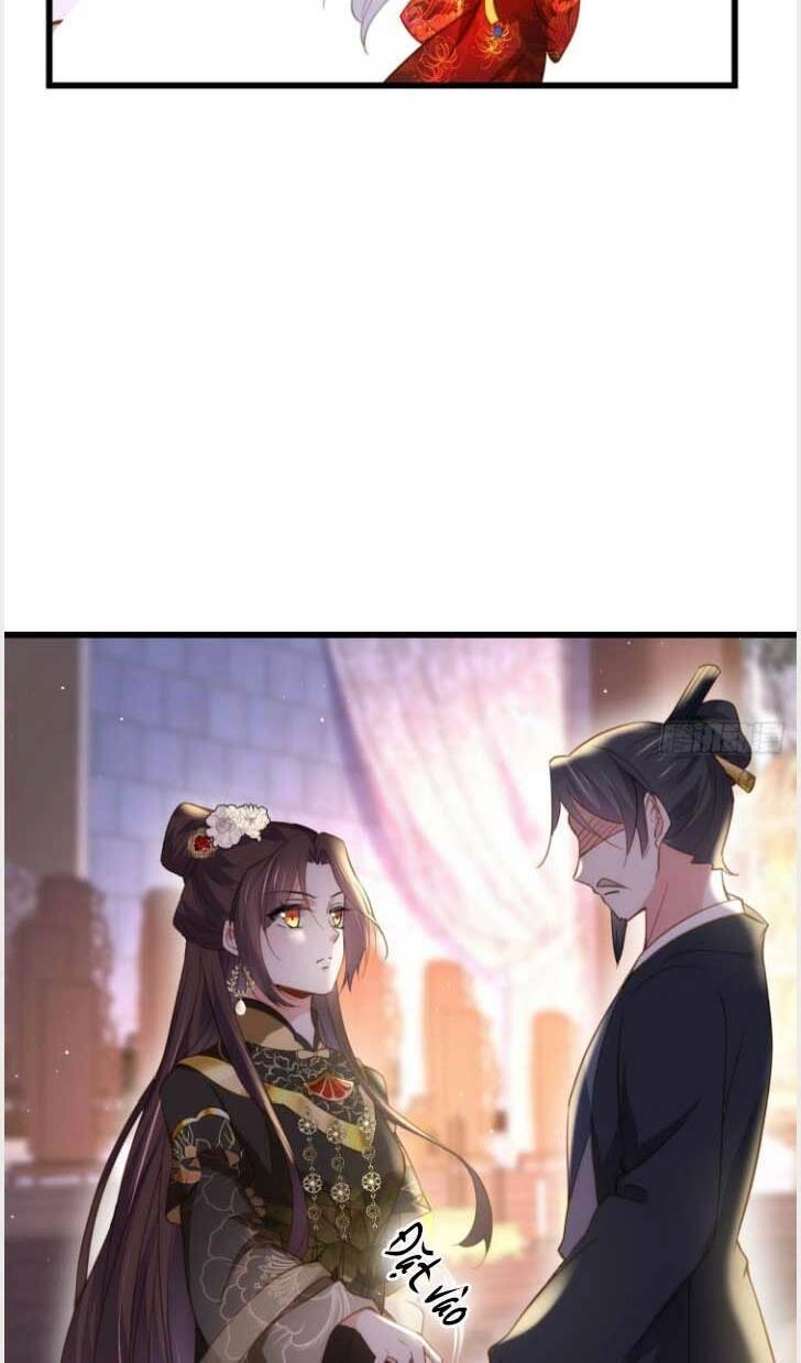 Hoạn Phi Thiên Hạ Chapter 185 - Trang 10