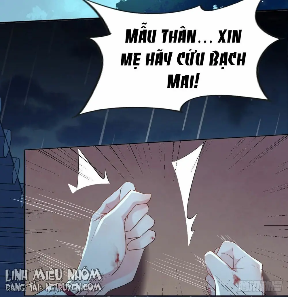 Hoạn Phi Thiên Hạ Chapter 2 - Trang 3
