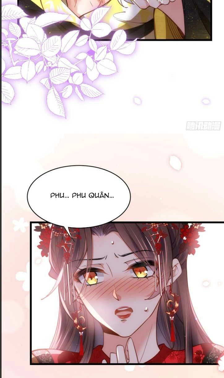 Hoạn Phi Thiên Hạ Chapter 201 - Trang 6