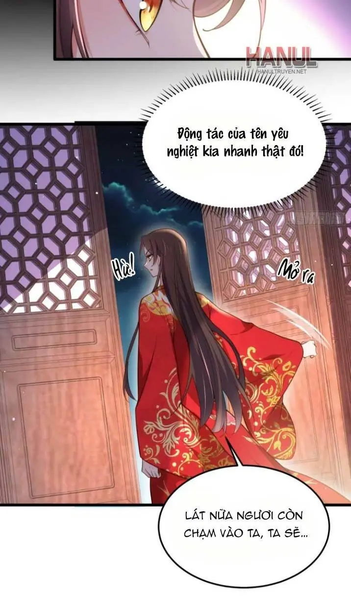 Hoạn Phi Thiên Hạ Chapter 203 - Trang 5