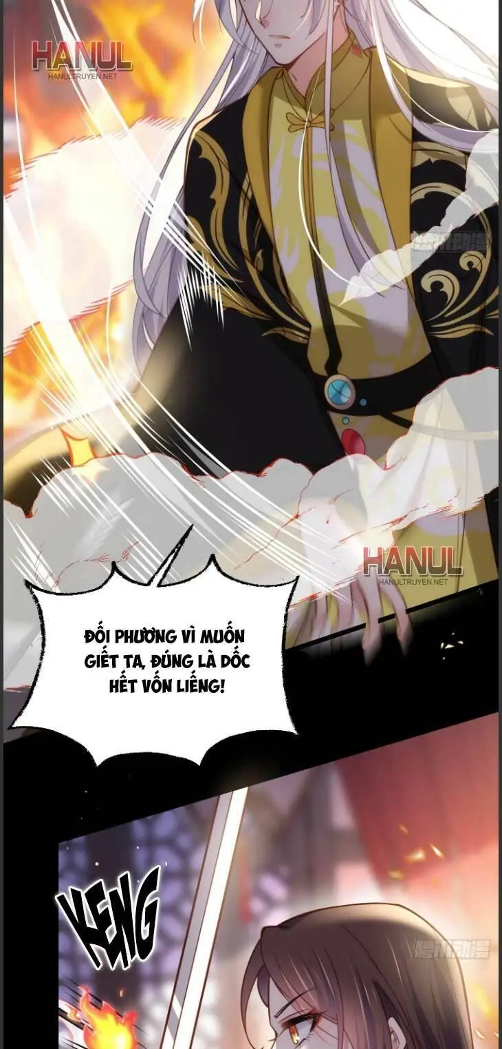Hoạn Phi Thiên Hạ Chapter 204 - Trang 17
