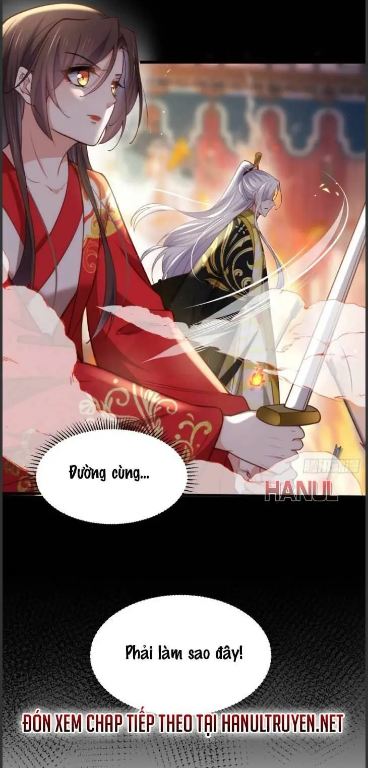 Hoạn Phi Thiên Hạ Chapter 204 - Trang 20