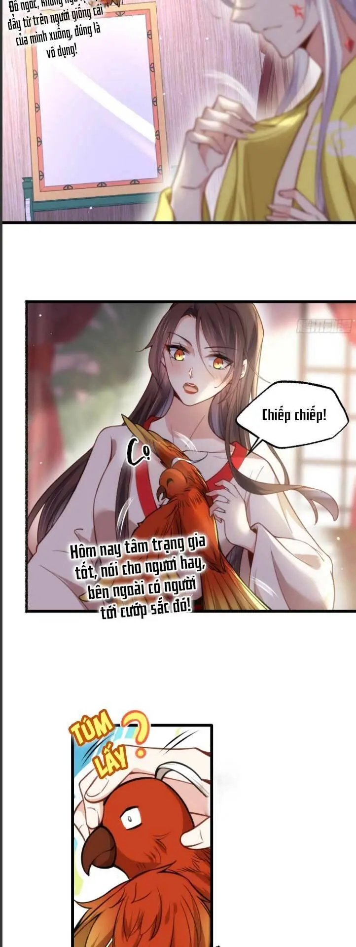 Hoạn Phi Thiên Hạ Chapter 204 - Trang 7