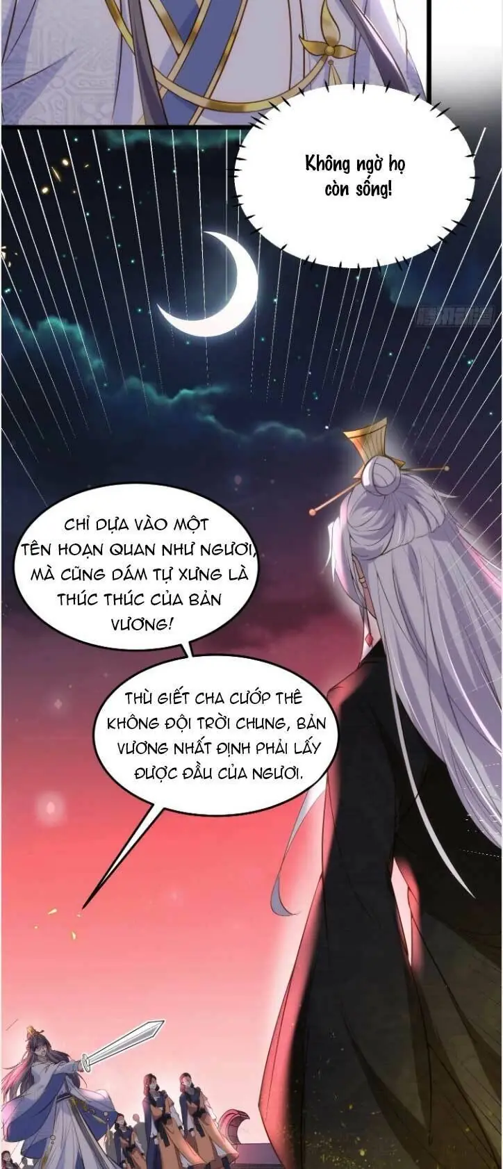 Hoạn Phi Thiên Hạ Chapter 205 - Trang 13