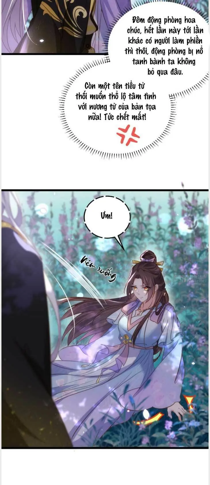 Hoạn Phi Thiên Hạ Chapter 207 - Trang 13