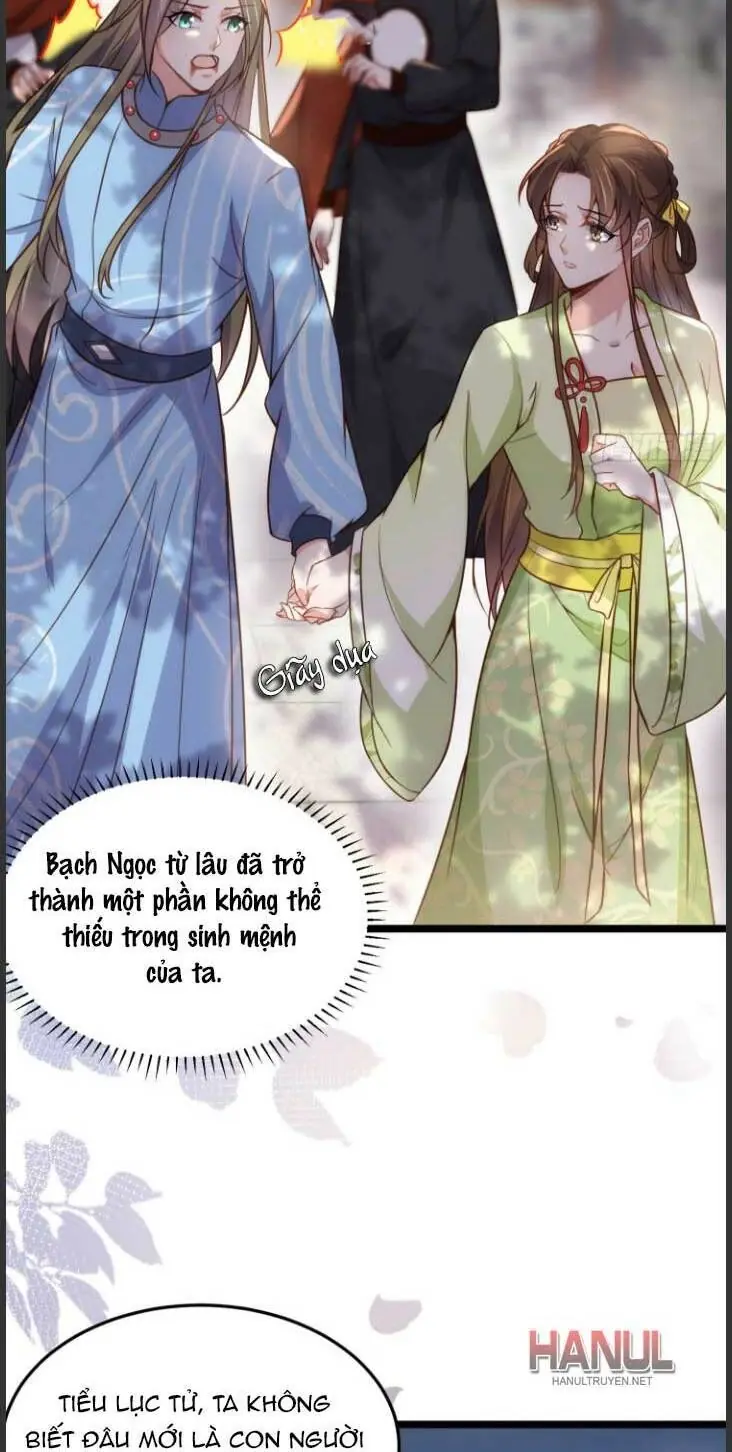 Hoạn Phi Thiên Hạ Chapter 215 - Trang 25