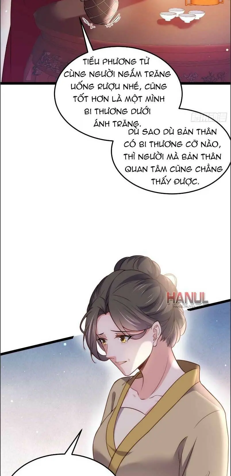 Hoạn Phi Thiên Hạ Chapter 216 - Trang 14