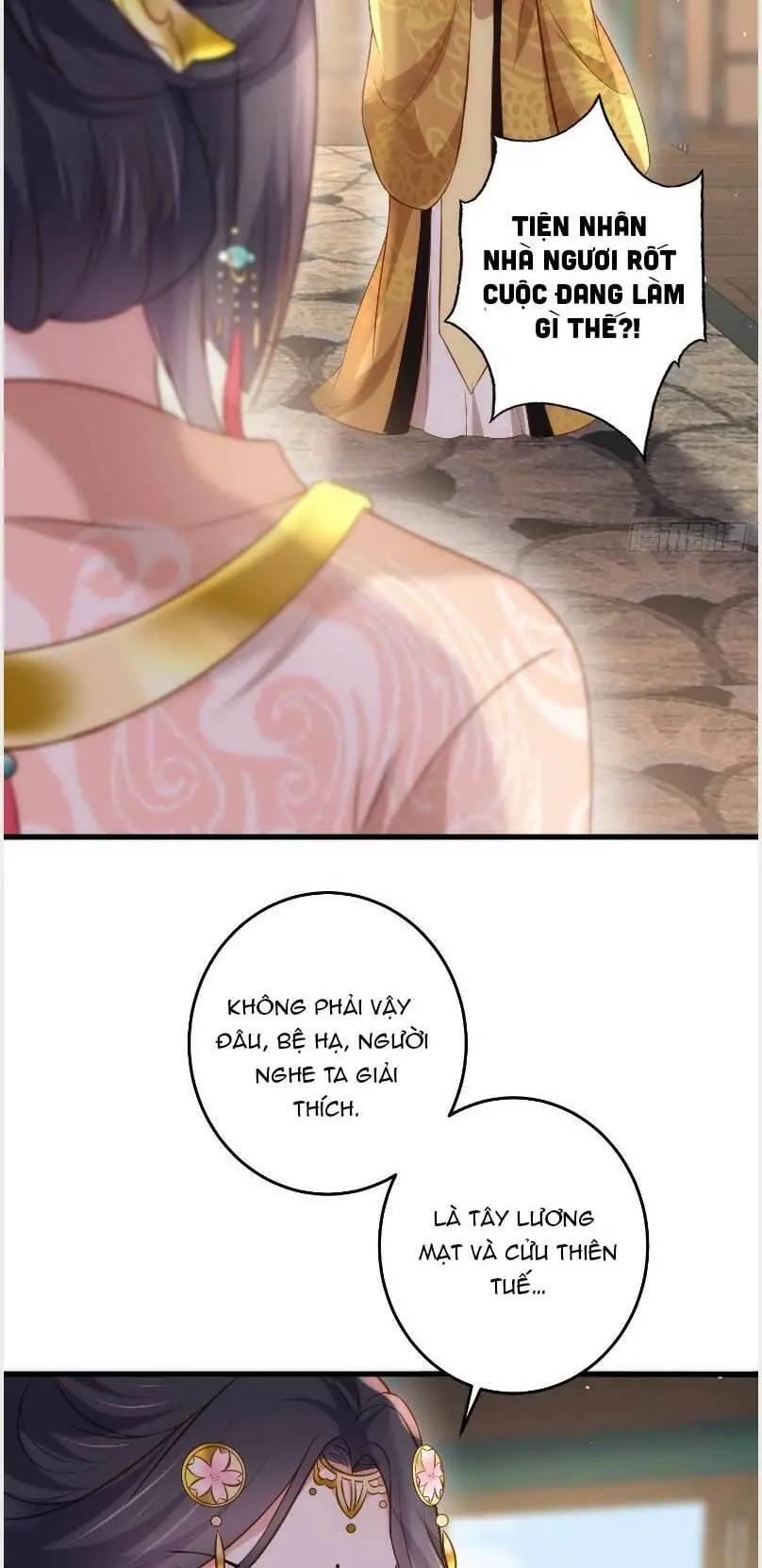 Hoạn Phi Thiên Hạ Chapter 226 - Trang 5