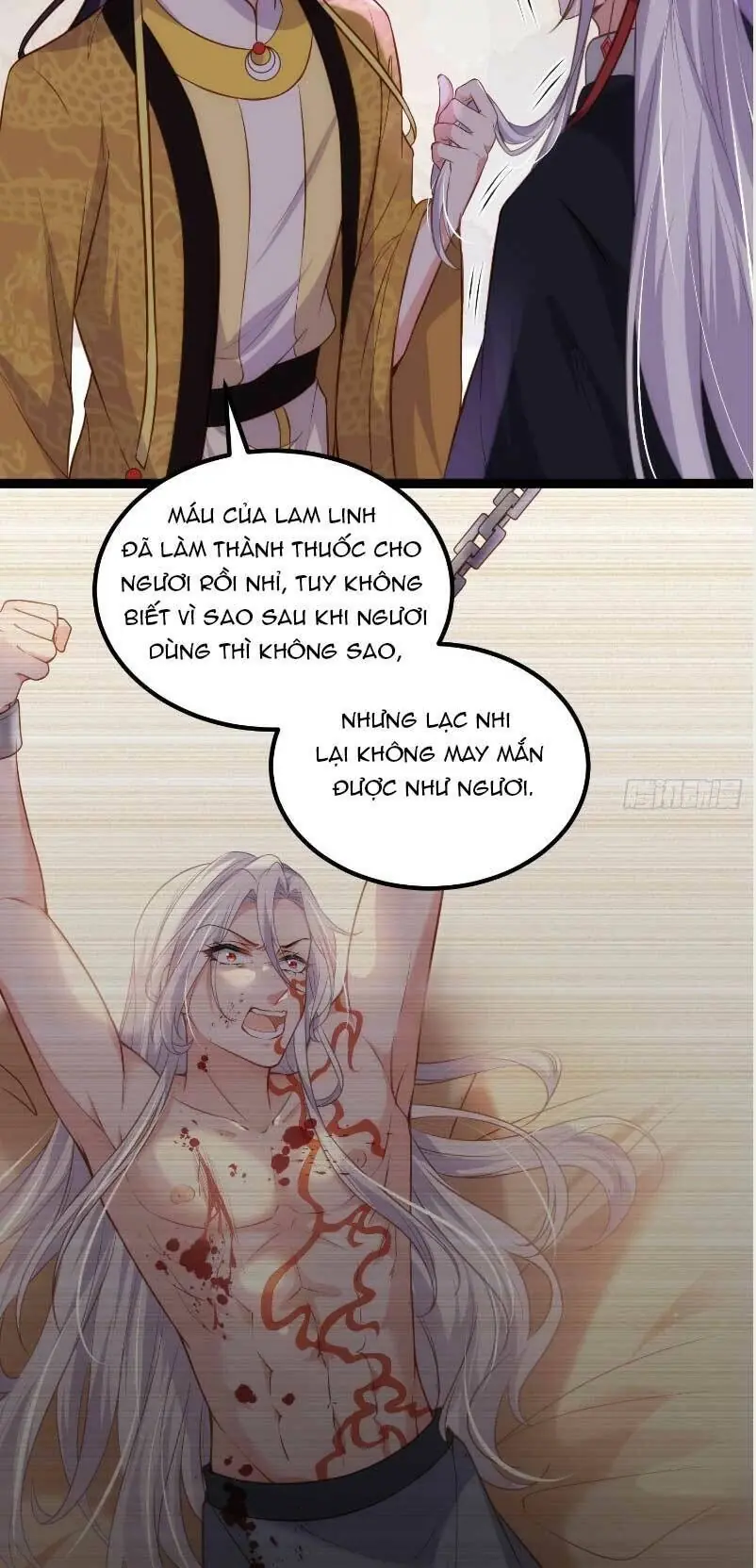 Hoạn Phi Thiên Hạ Chapter 228 - Trang 13