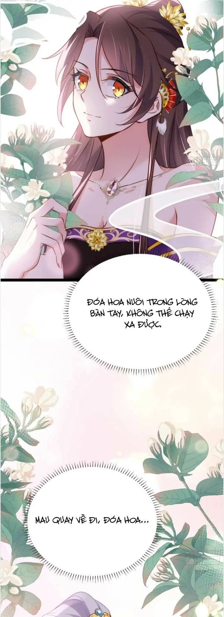 Hoạn Phi Thiên Hạ Chapter 242 - Trang 20
