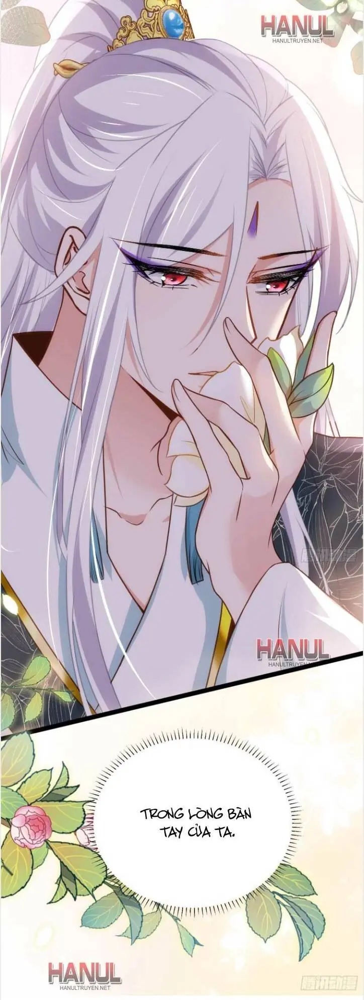 Hoạn Phi Thiên Hạ Chapter 242 - Trang 21