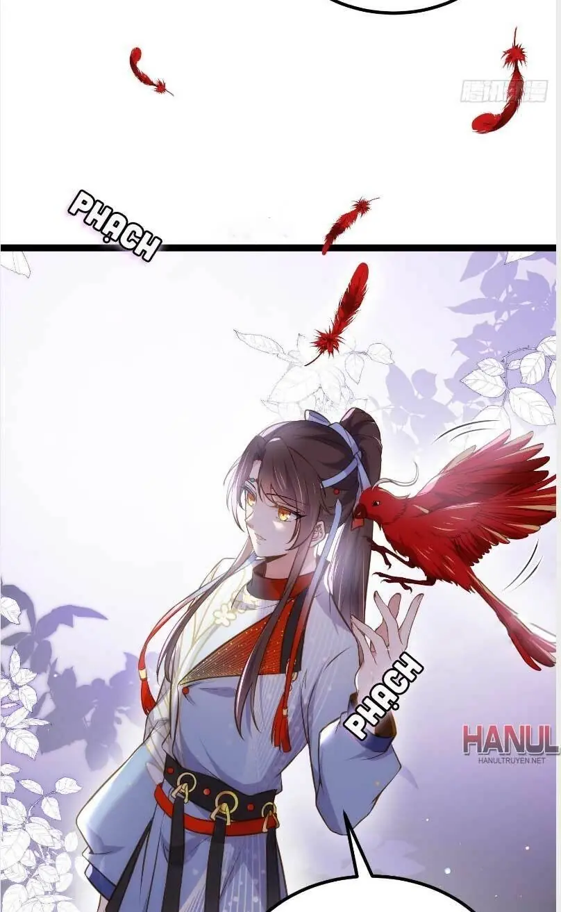 Hoạn Phi Thiên Hạ Chapter 244 - Trang 5