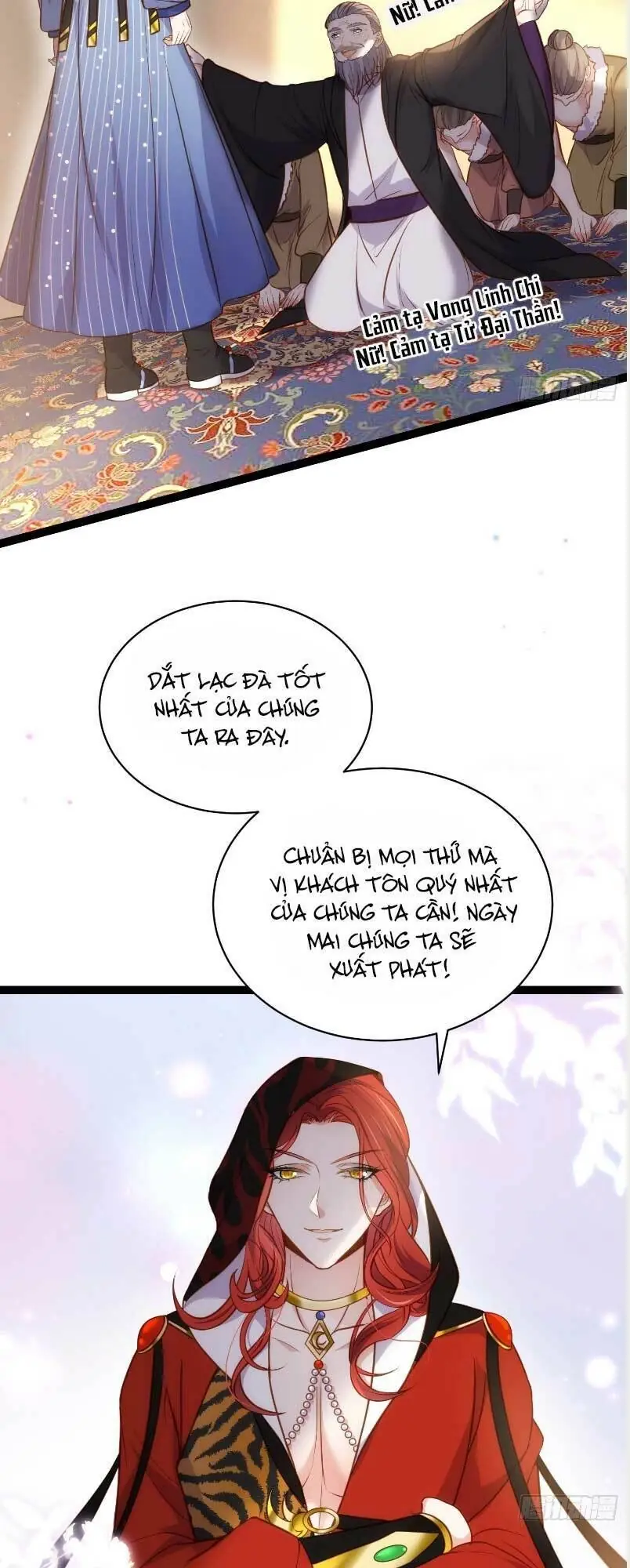 Hoạn Phi Thiên Hạ Chapter 247 - Trang 14