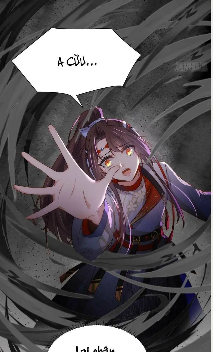Hoạn Phi Thiên Hạ Chapter 249 - Trang 5