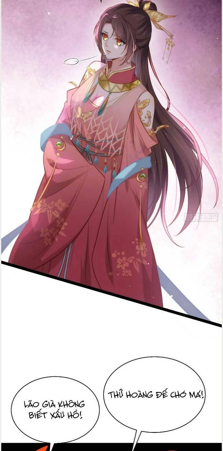 Hoạn Phi Thiên Hạ Chapter 254 - Trang 11
