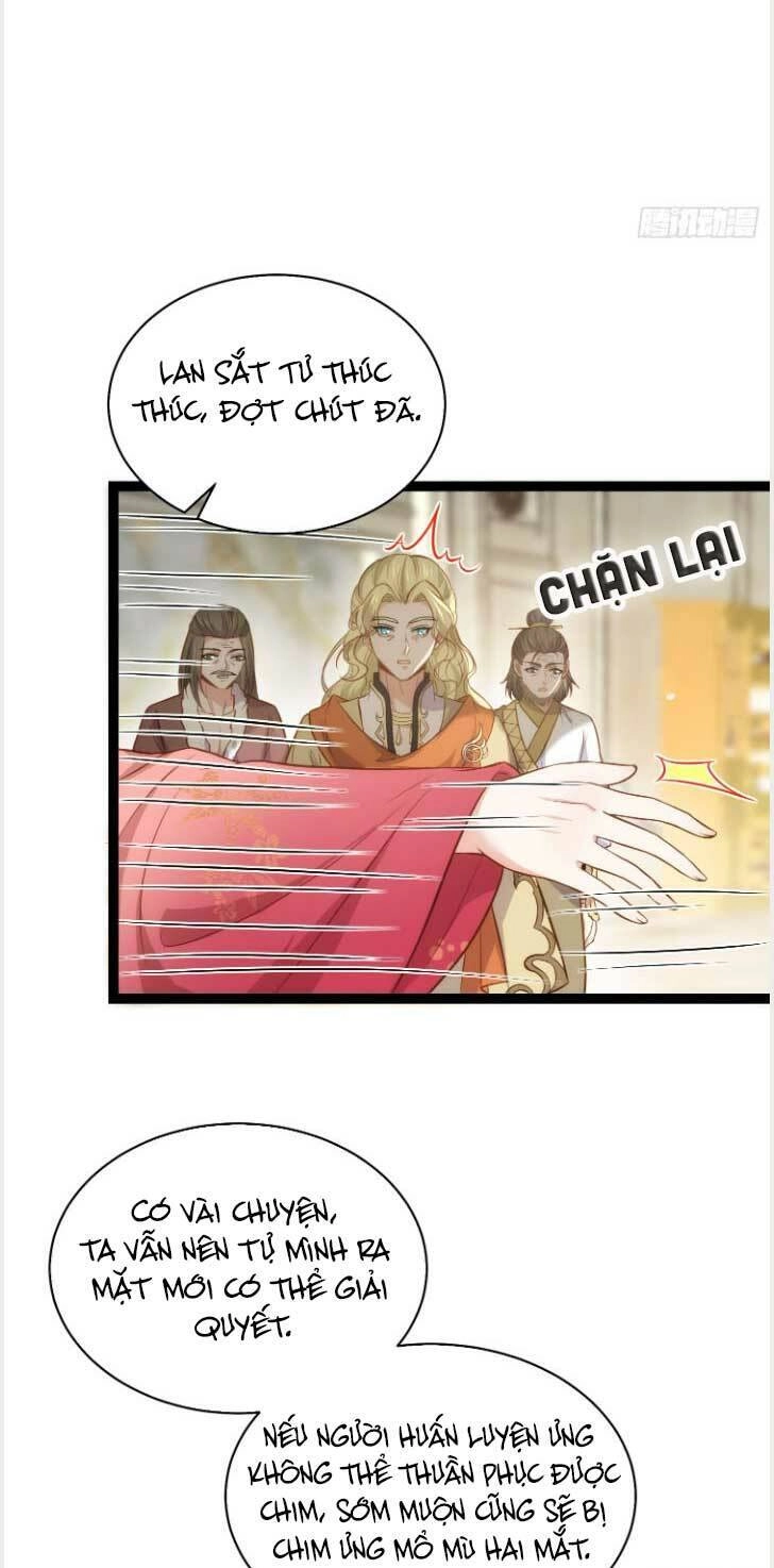 Hoạn Phi Thiên Hạ Chapter 254 - Trang 16