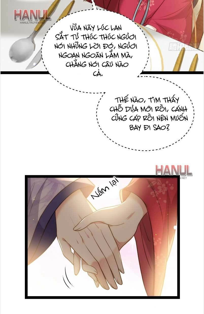 Hoạn Phi Thiên Hạ Chapter 259 - Trang 17