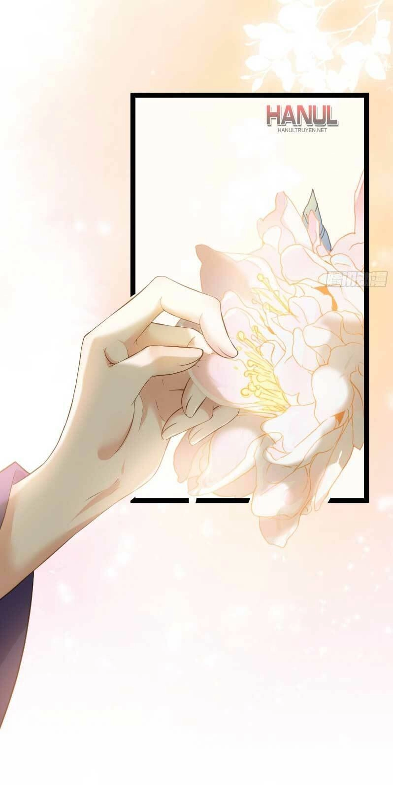 Hoạn Phi Thiên Hạ Chapter 260 - Trang 4
